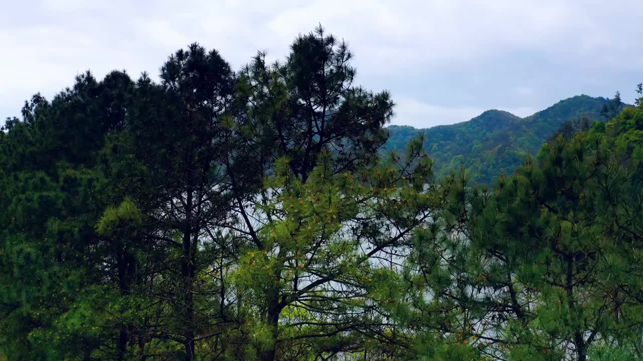 浙江绍兴南山湖风景区4K航拍视频素材