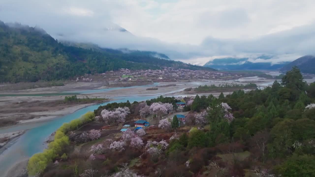 林芝波密桃花沟视频下载