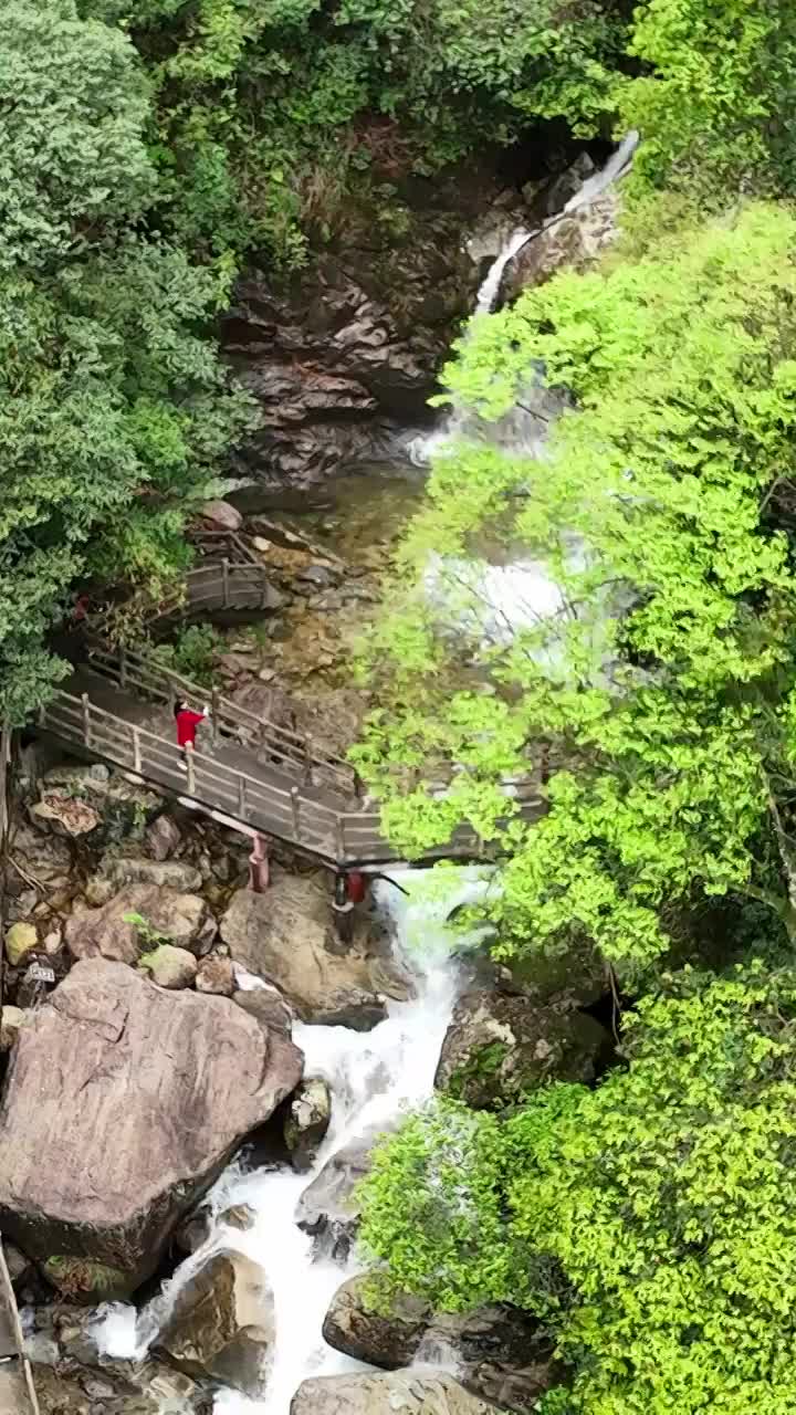 瀑布 河流 水流  流动 自然 水 峡谷 绿色 清新视频素材