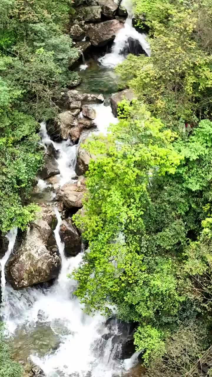 瀑布 河流 水流  流动 自然 水 峡谷 绿色 清新视频素材