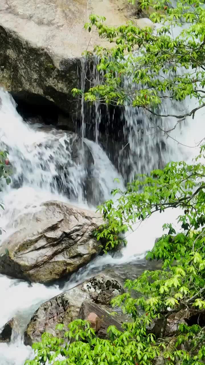 瀑布 河流 水流  流动 自然 水 峡谷 绿色 清新视频素材