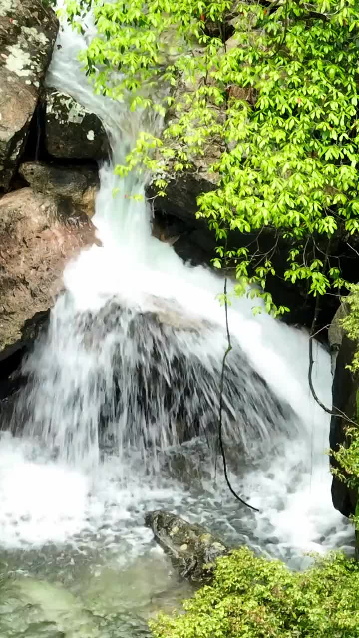 瀑布 河流 水流  流动 自然 水 峡谷 绿色 清新视频素材