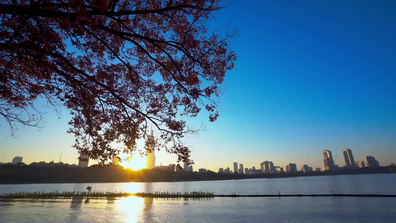 江苏南京玄武湖的夕阳视频素材