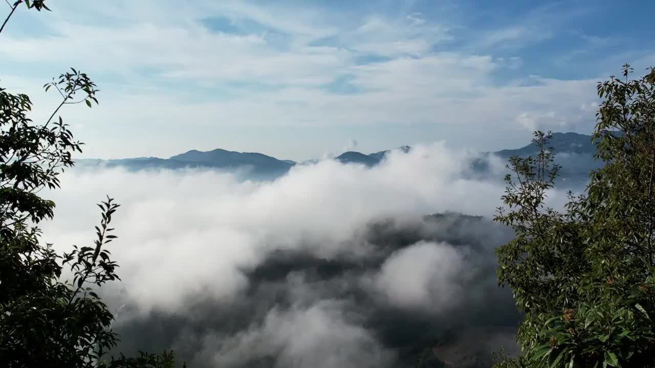 航拍高山顶云海雾气森林水雾峰美丽乡村清晨视频素材