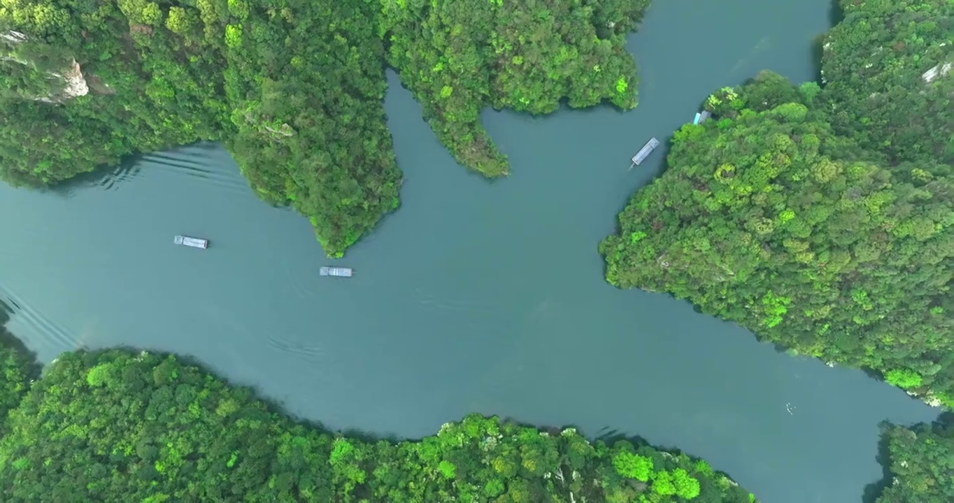 自然 风景 张家界 中国 湖南 水 树 户外 绿色 地形 森林 湖泊 张家界地貌视频素材