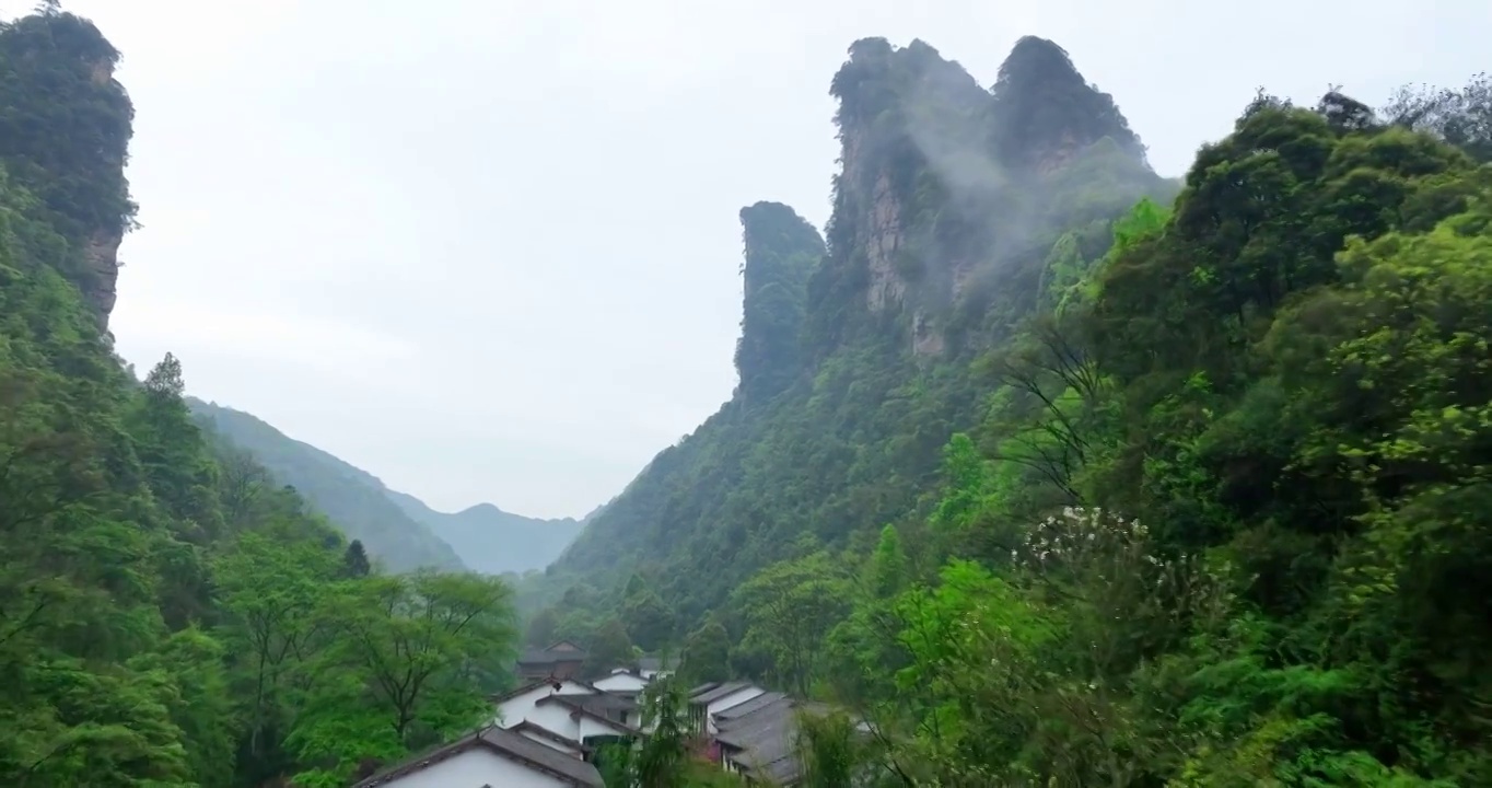 自然 风景 张家界 中国 湖南 水 树 户外 绿色 地形 森林 湖泊 张家界地貌视频素材