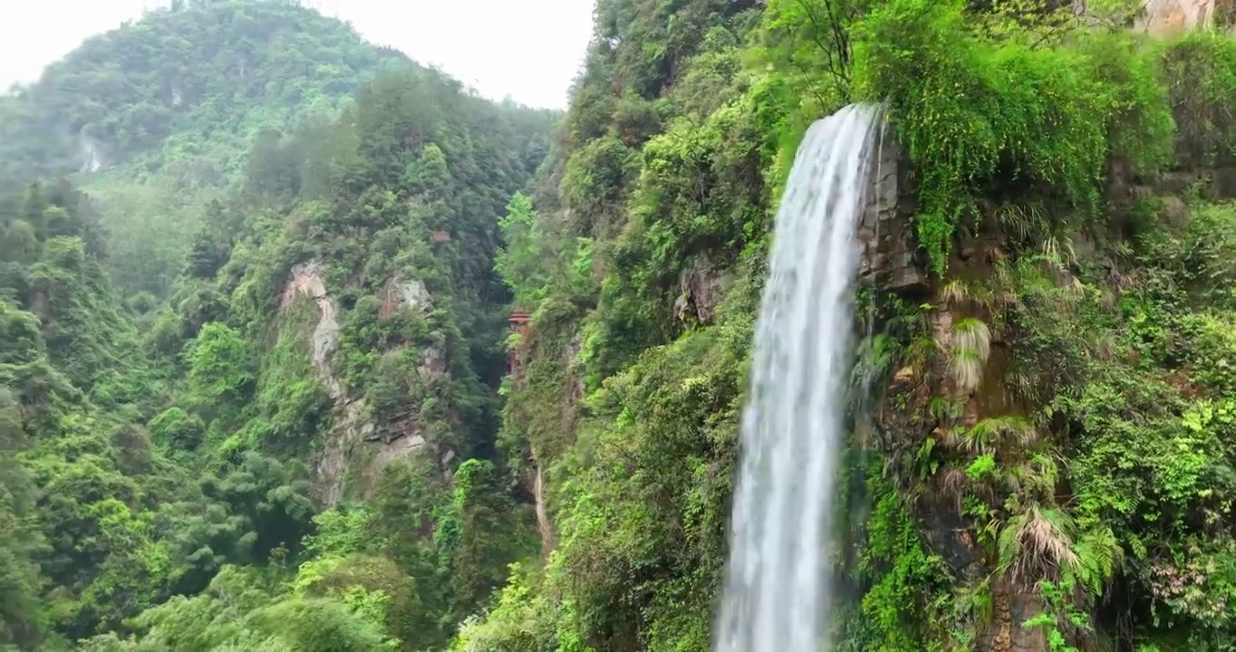 自然 风景 瀑布 水帘洞 树 户外 绿色 地形 森林 湖泊 张家界地貌视频素材