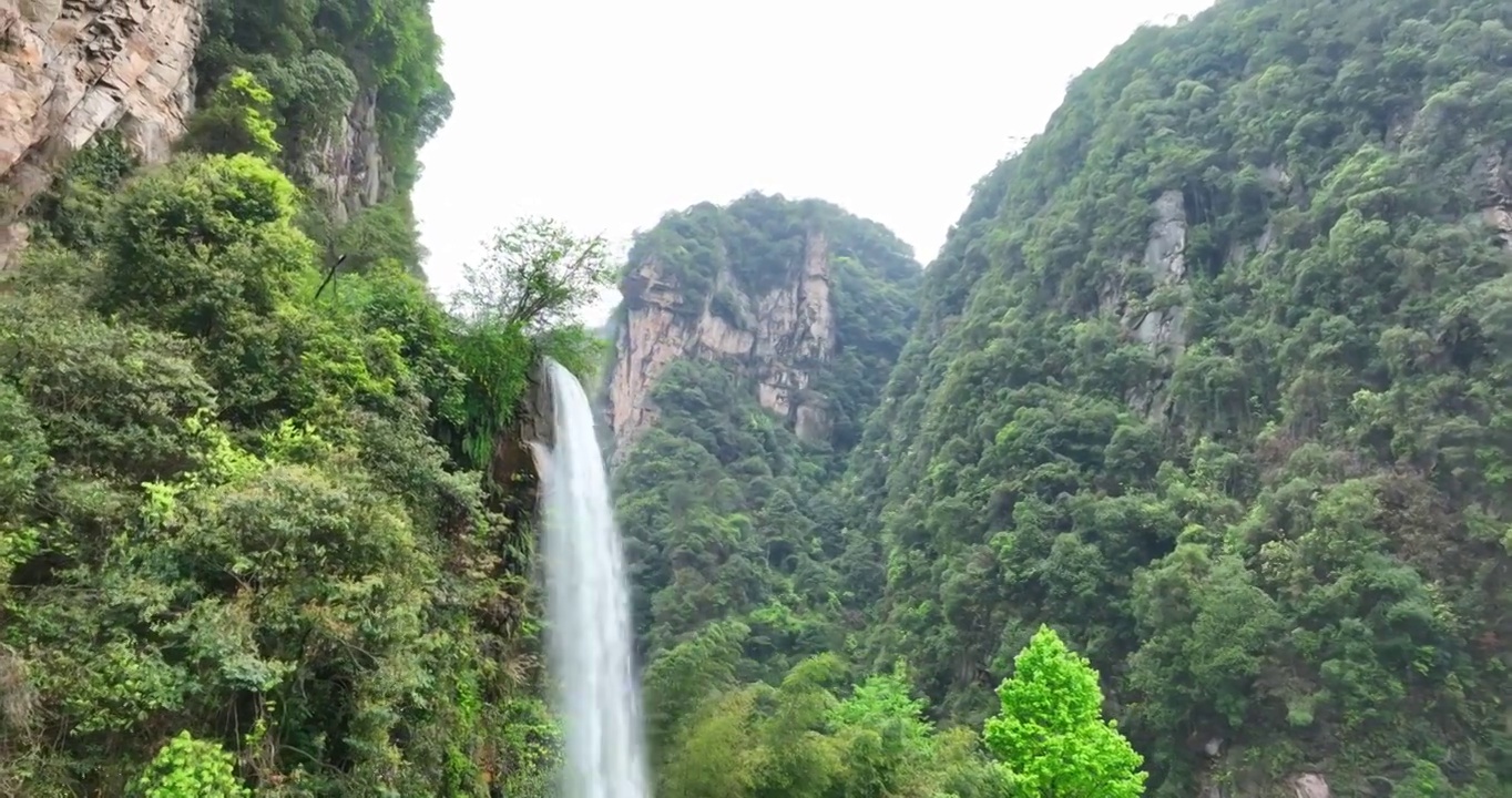 自然 风景 瀑布 水帘洞 树 户外 绿色 地形 森林 湖泊 张家界地貌视频素材