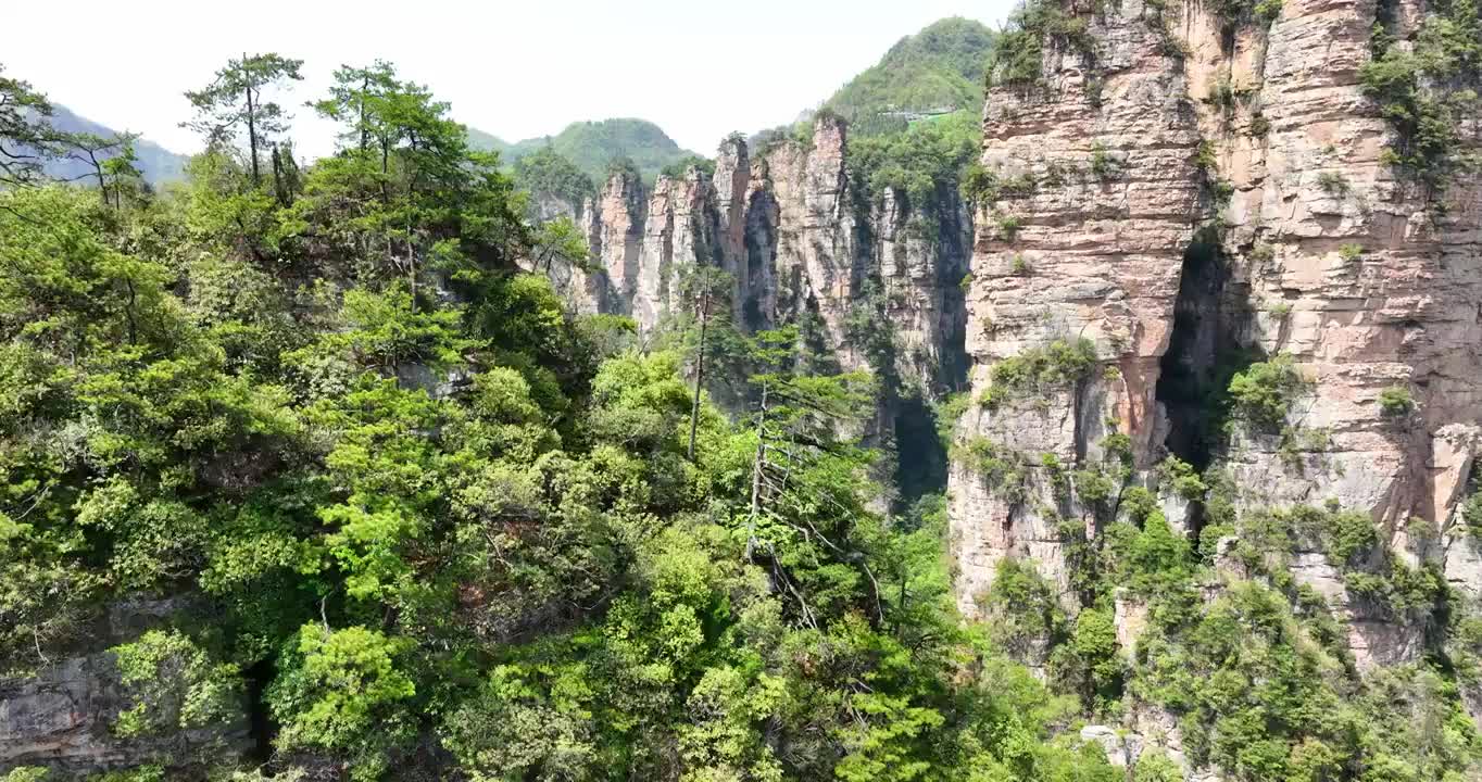 山峰 峰林 地形 风景 自然 旅行 旅游 森林视频素材