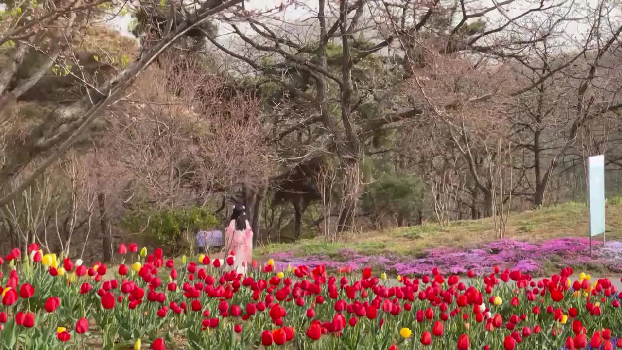 花丛中穿汉服的女孩儿视频素材