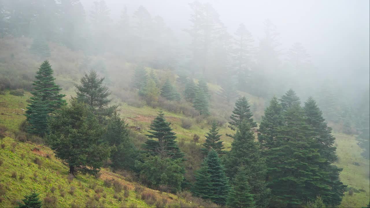 玉龙雪山视频下载