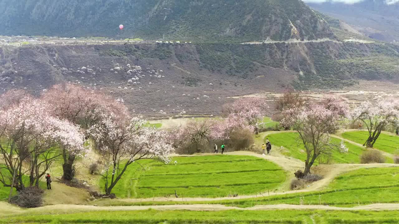 春季的索松村视频素材