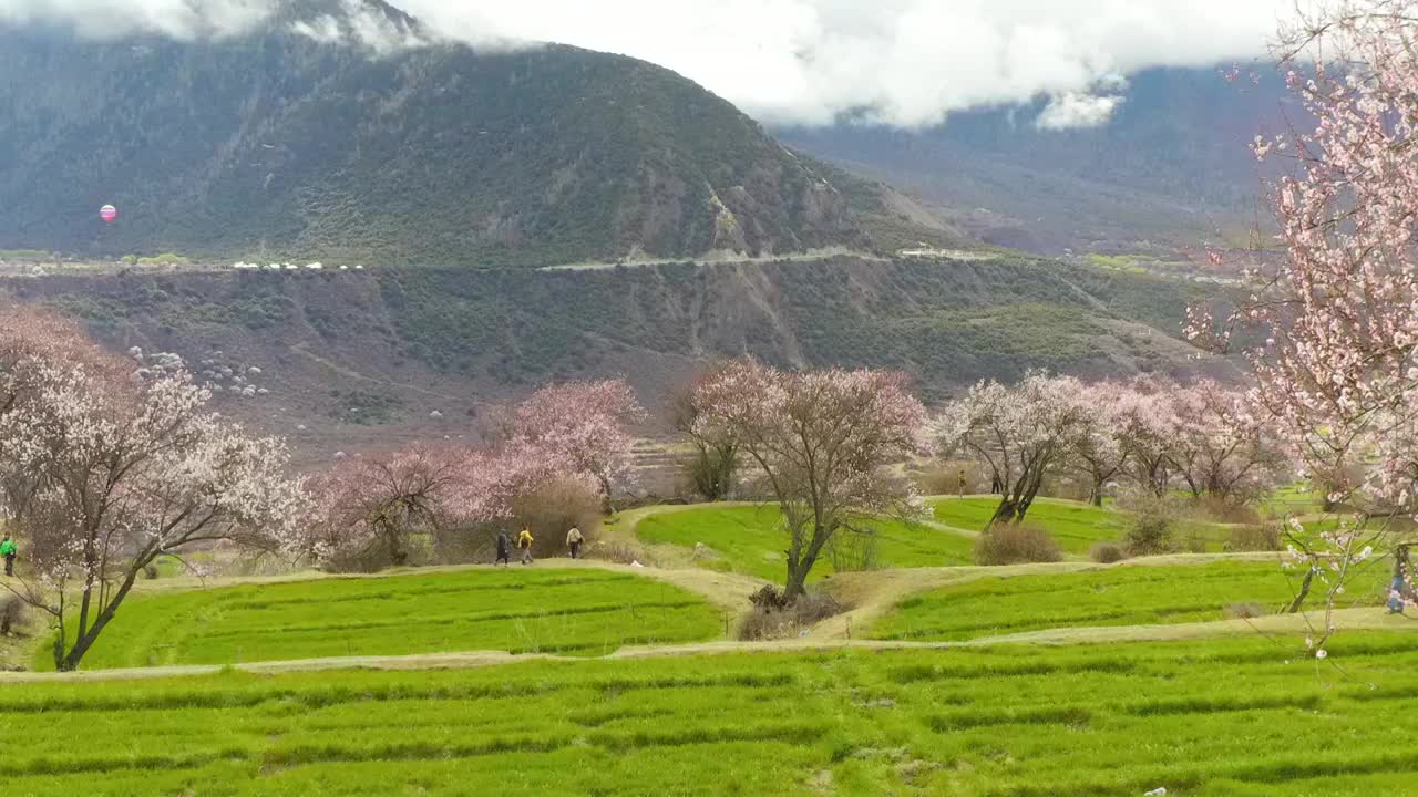 春季的索松村视频素材