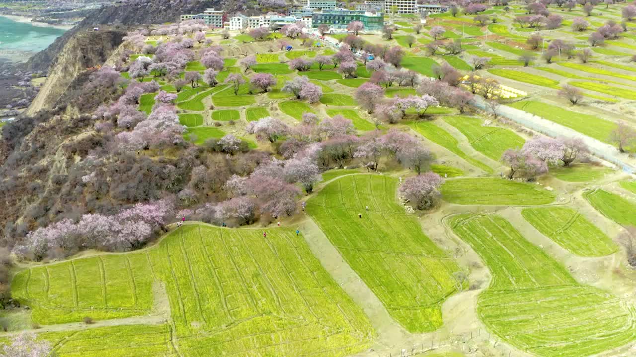 春季的索松村视频素材