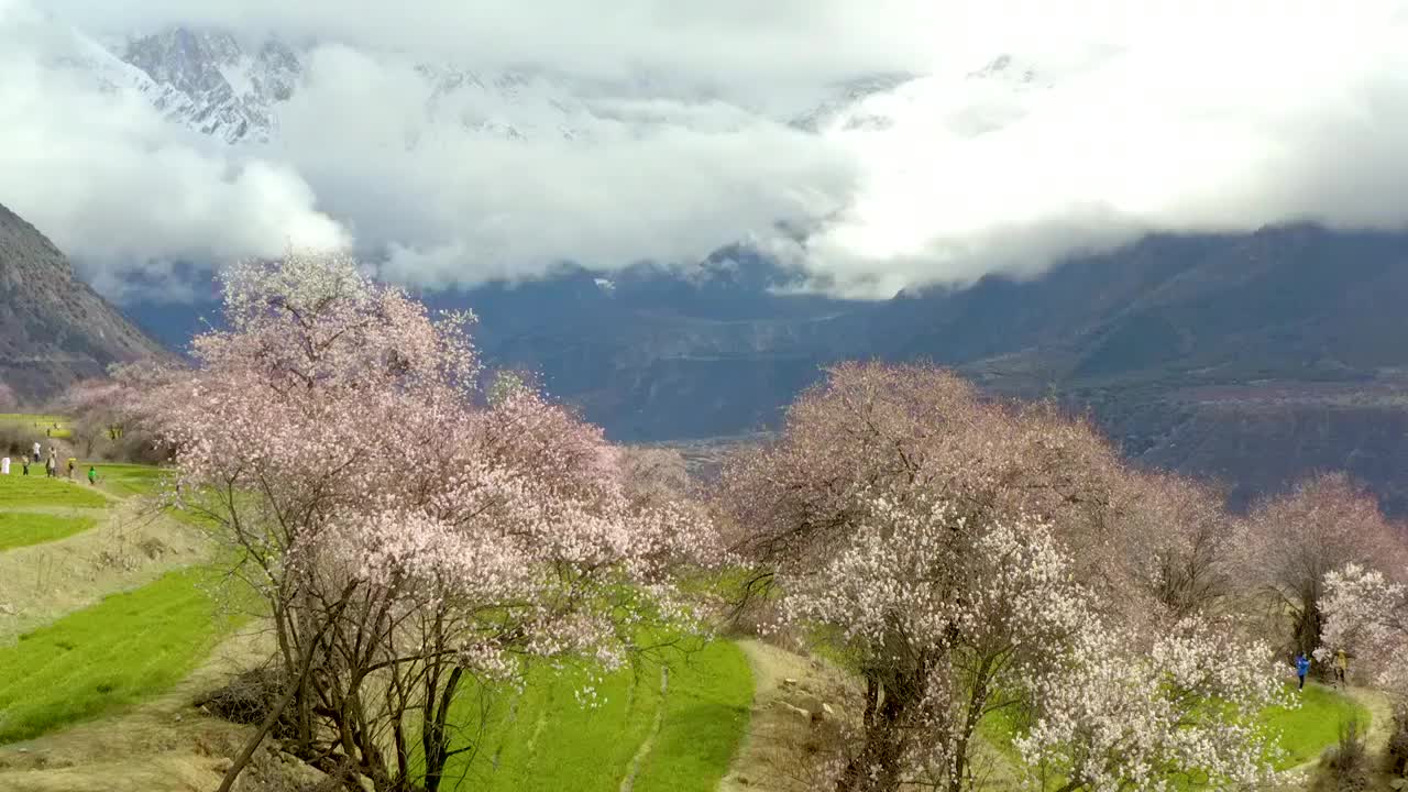 春季的索松村视频素材