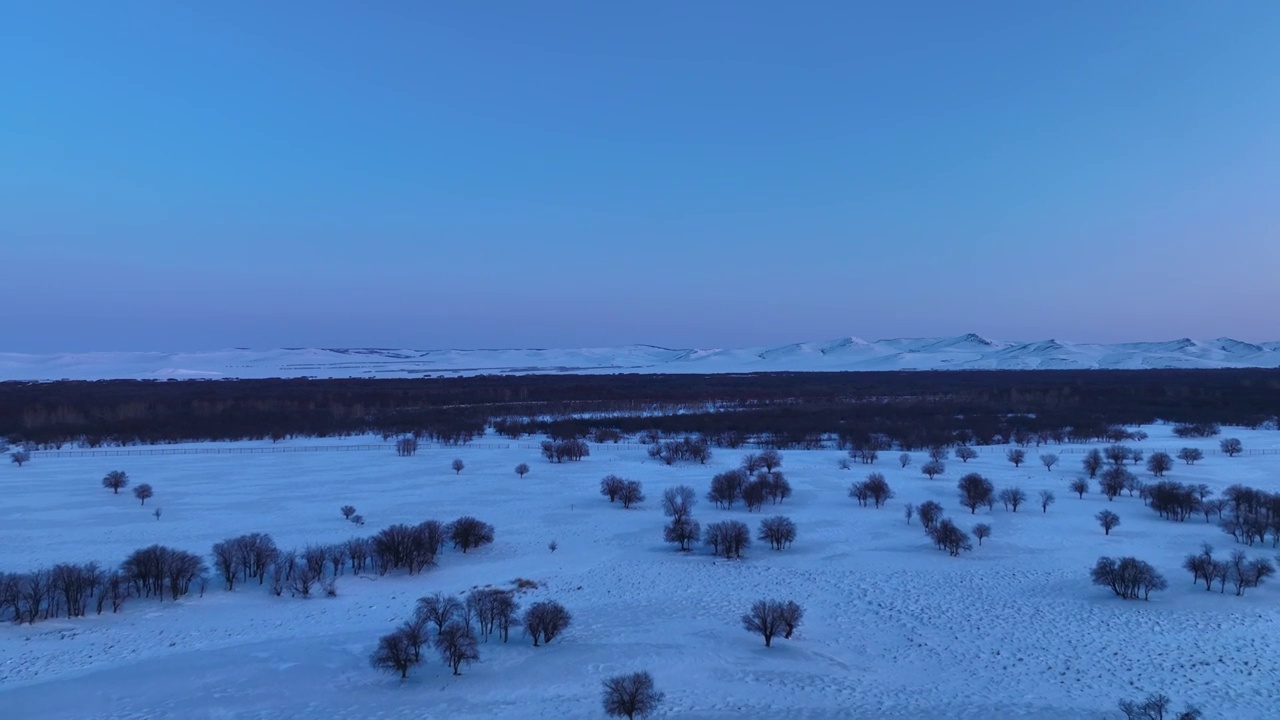 航拍内蒙古亚洲第一湿地黎明雪景视频素材