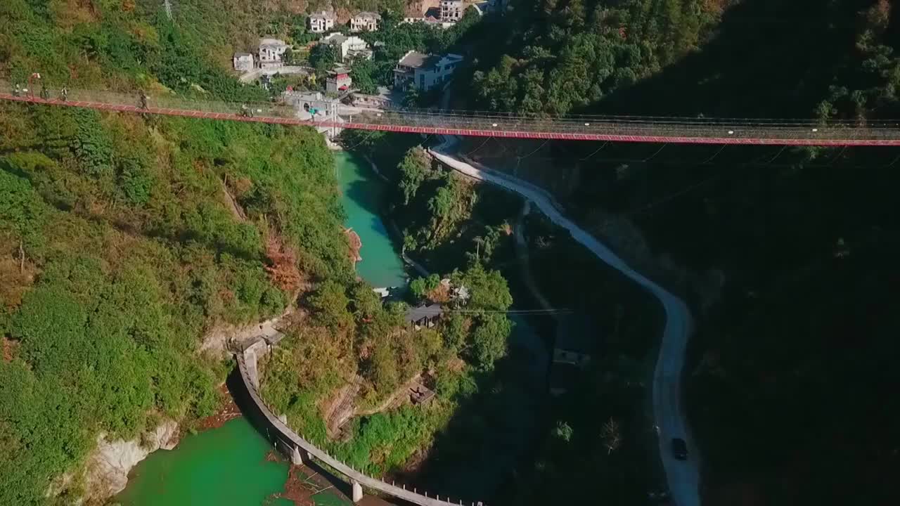 千年香榧林景区视频素材