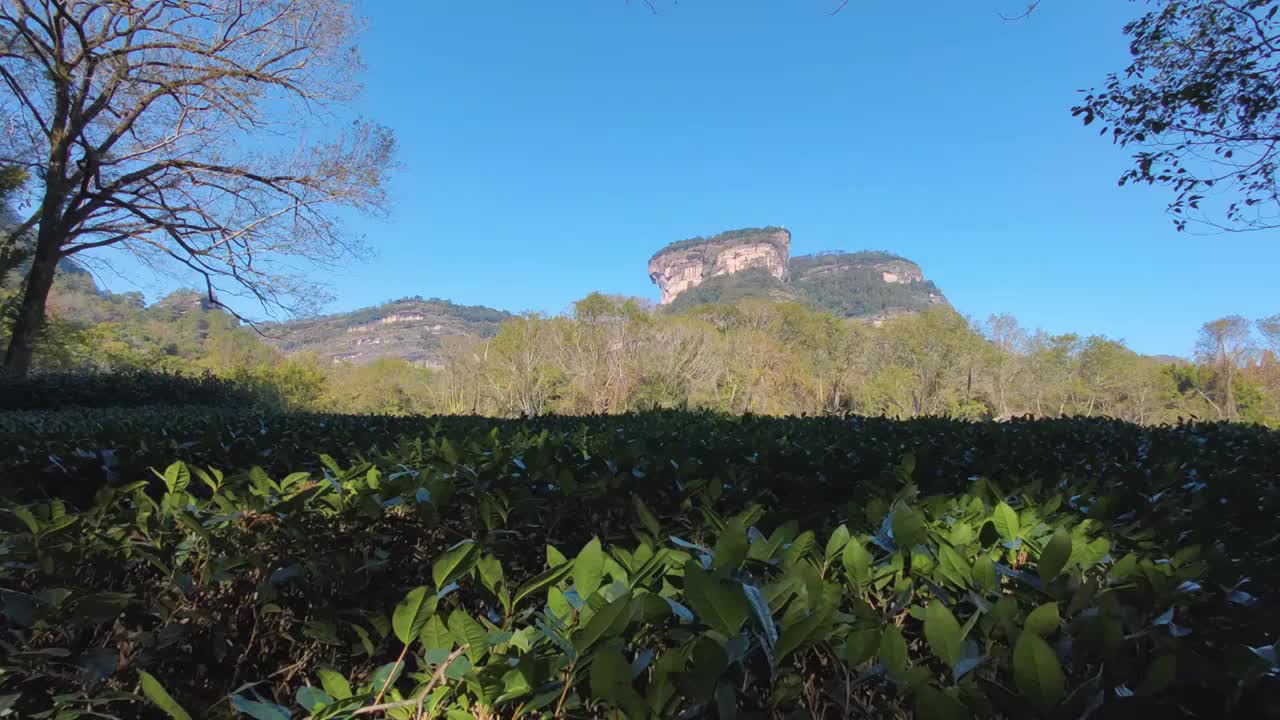 武夷山风光大王峰、玉女峰、九曲溪、丹霞地貌、晒布岩、竹筏漂流视频素材