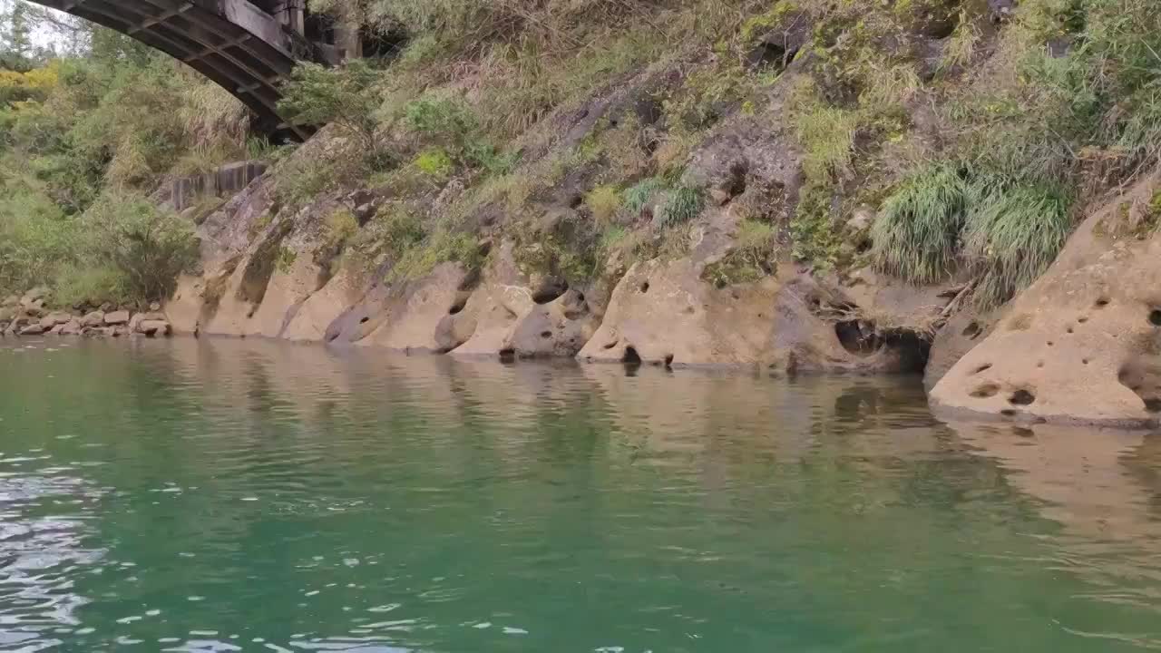 溪水中游动的鱼儿-武夷山风光九曲溪视频素材