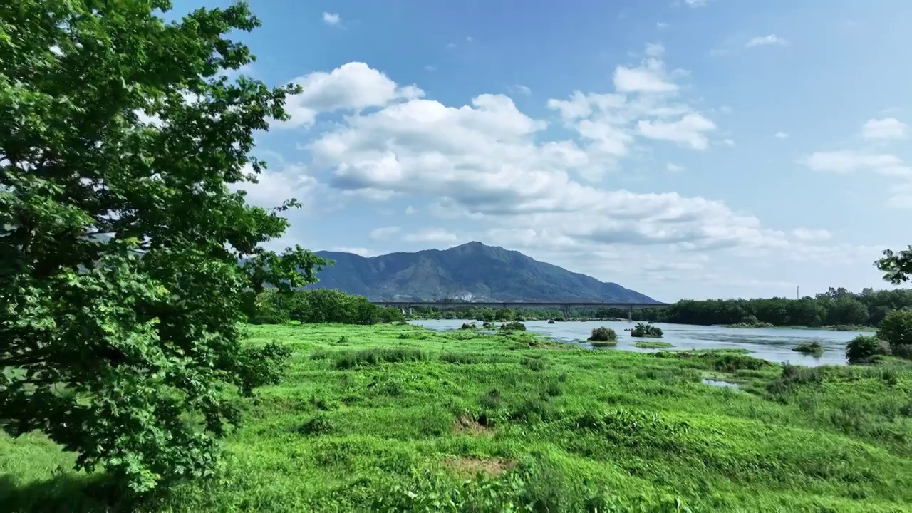 春天阳光下漓江岸边的树和草地及远处驶过的高速列车视频素材