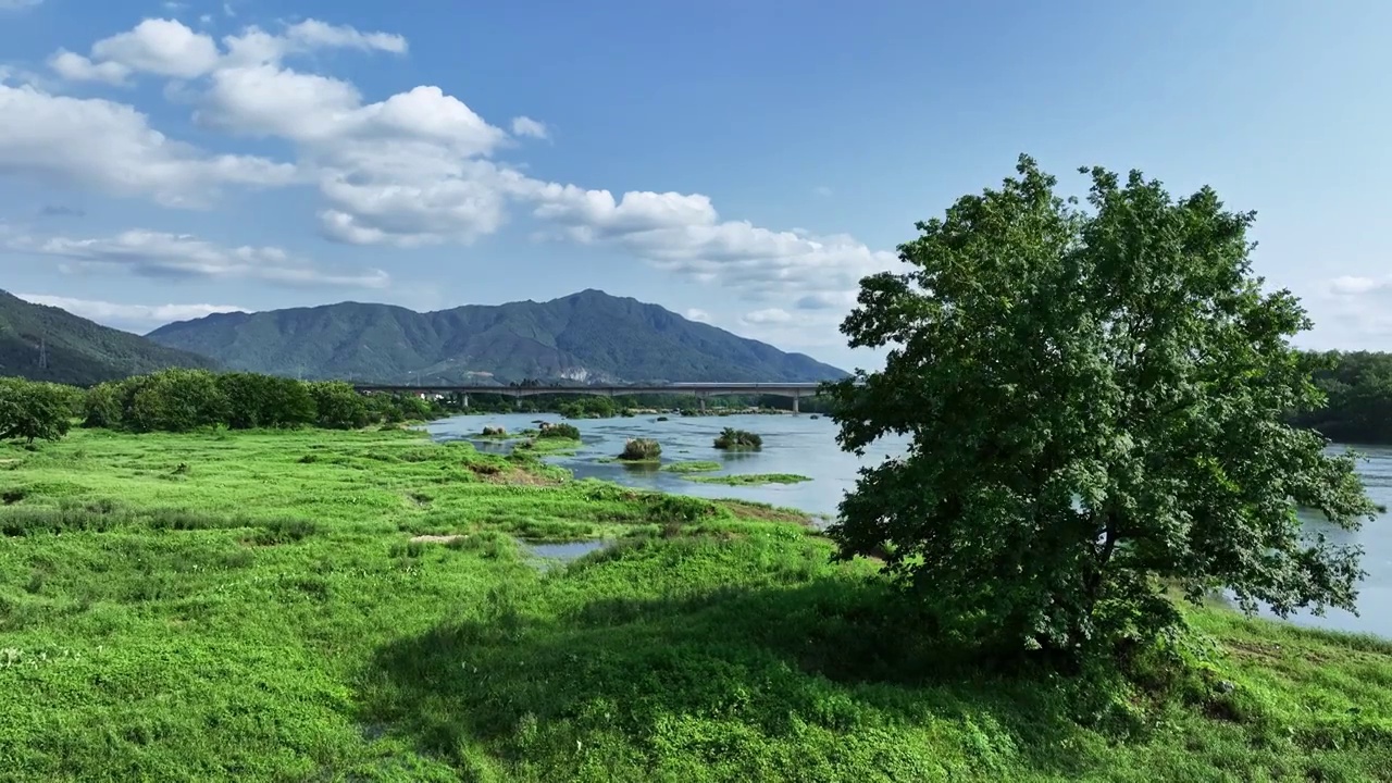 春天阳光下漓江岸边的树和草地及远处驶过的高速列车视频素材