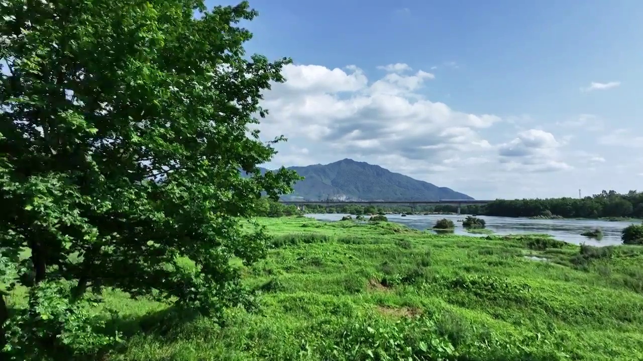 春天阳光下漓江岸边的树和草地及远处驶过的高速列车视频素材