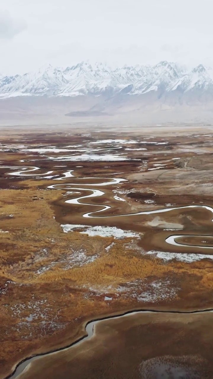 塔合曼湿地，帕米尔高原的牧场，湿地雪山与河流视频素材