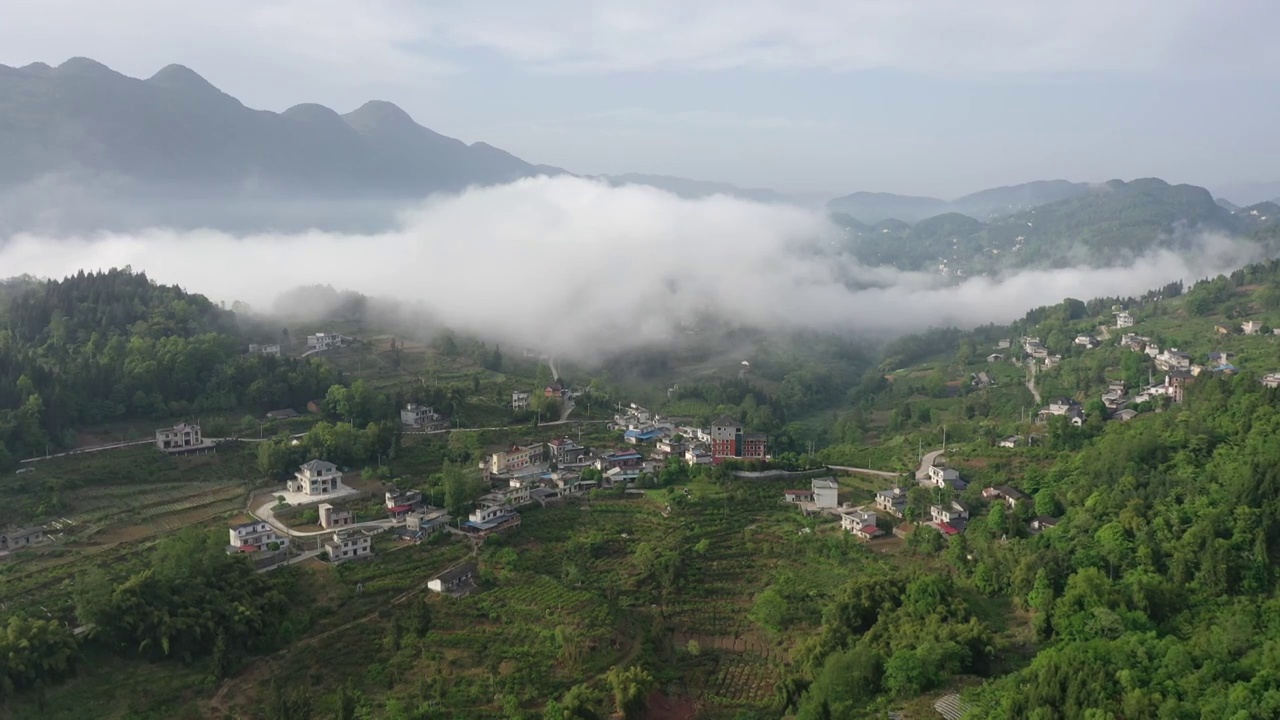 乡村清晨视频素材