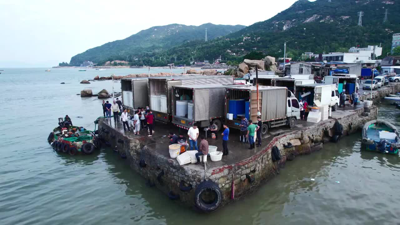 渔港码头卸鱼海鲜渔船停泊鲜活海鲜分拣视频素材