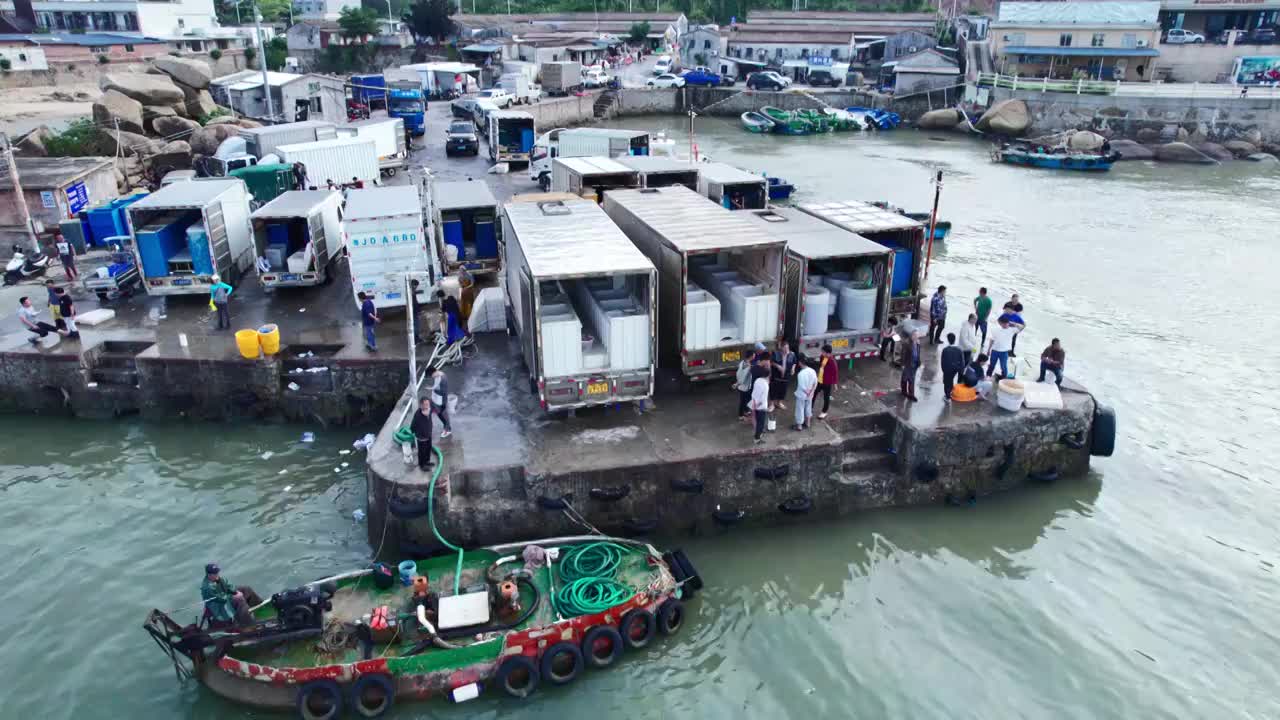 渔港码头卸鱼海鲜渔船停泊鲜活海鲜分拣视频素材