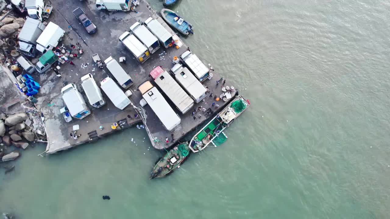 渔港码头卸鱼海鲜渔船停泊鲜活海鲜分拣视频素材