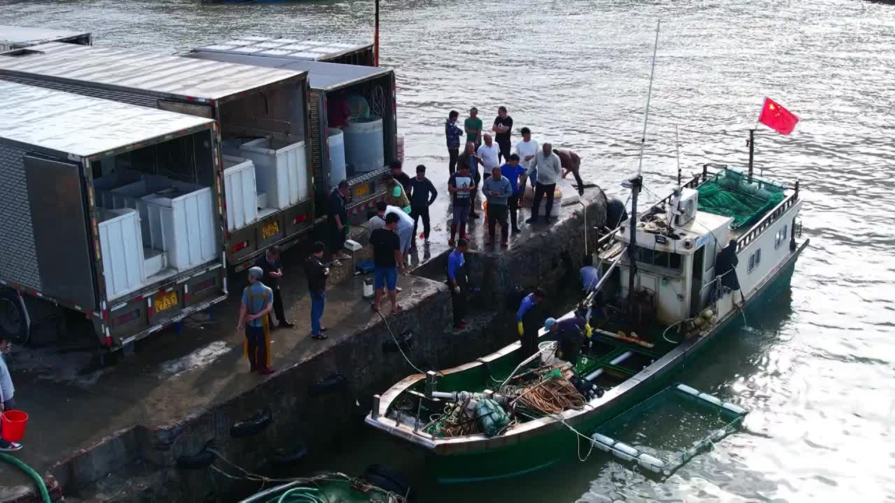 渔港码头卸鱼海鲜渔船停泊鲜活海鲜分拣视频素材