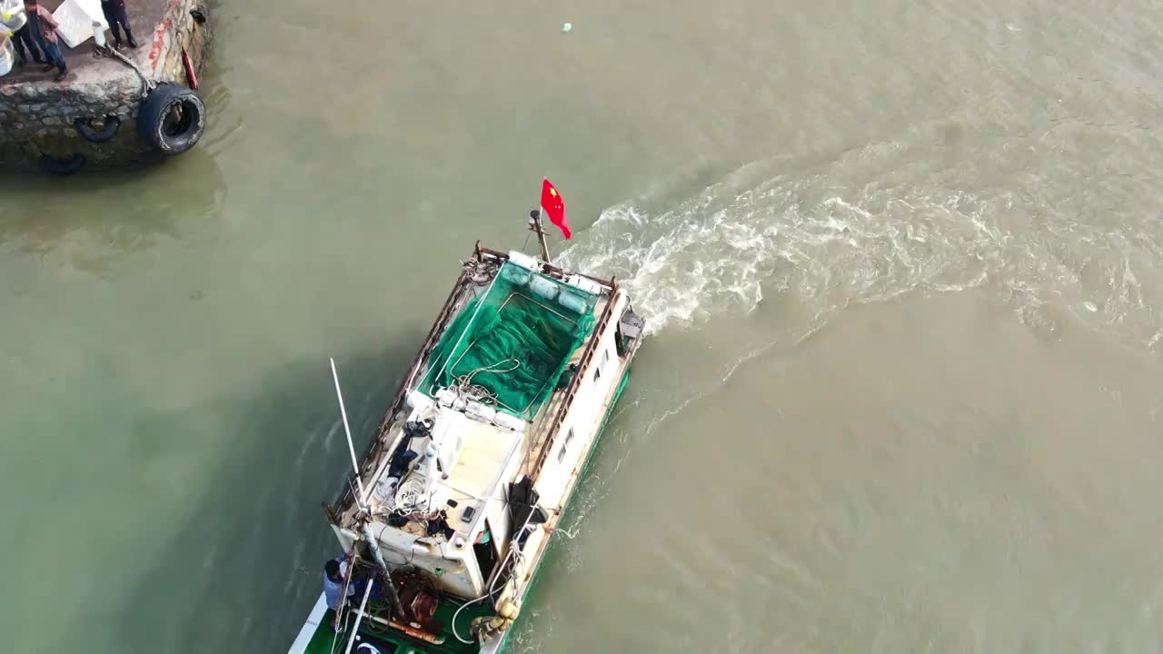 渔港码头卸鱼海鲜渔船停泊鲜活海鲜分拣视频素材