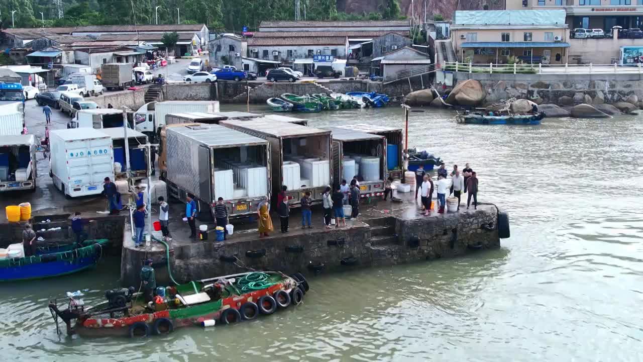 渔港码头卸鱼海鲜渔船停泊鲜活海鲜分拣视频素材