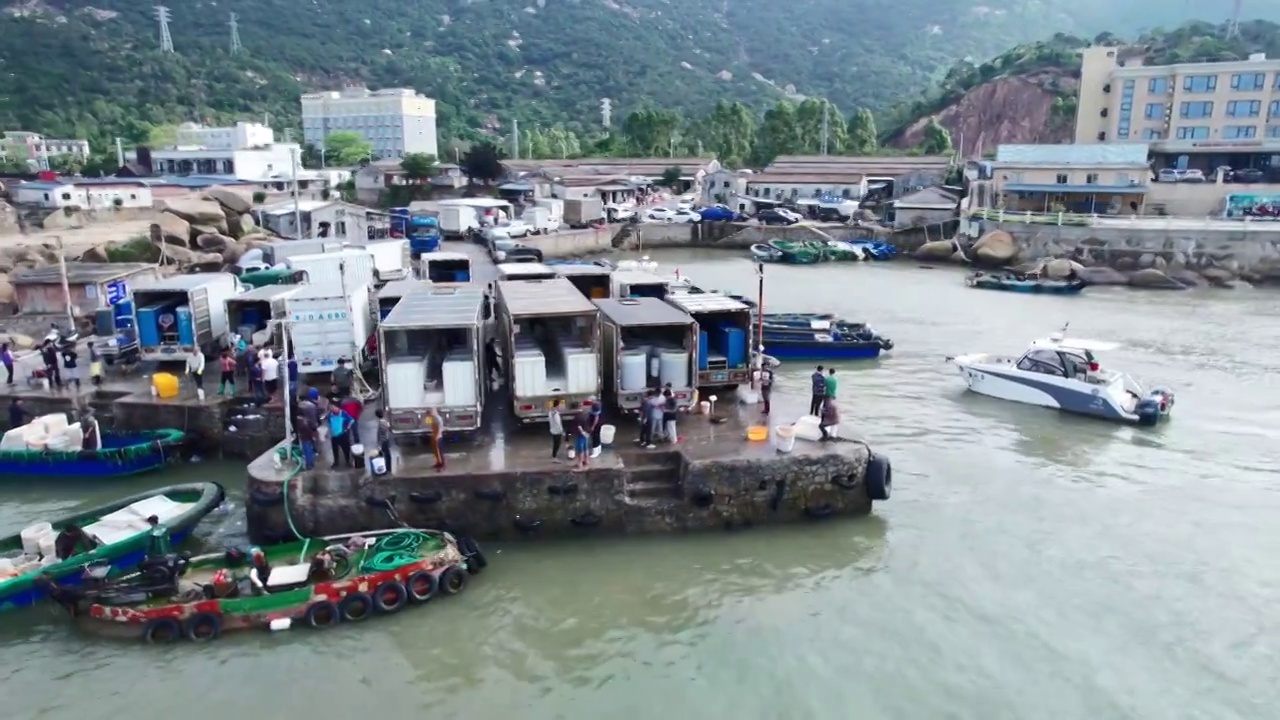 渔港码头卸鱼海鲜渔船停泊鲜活海鲜分拣视频素材