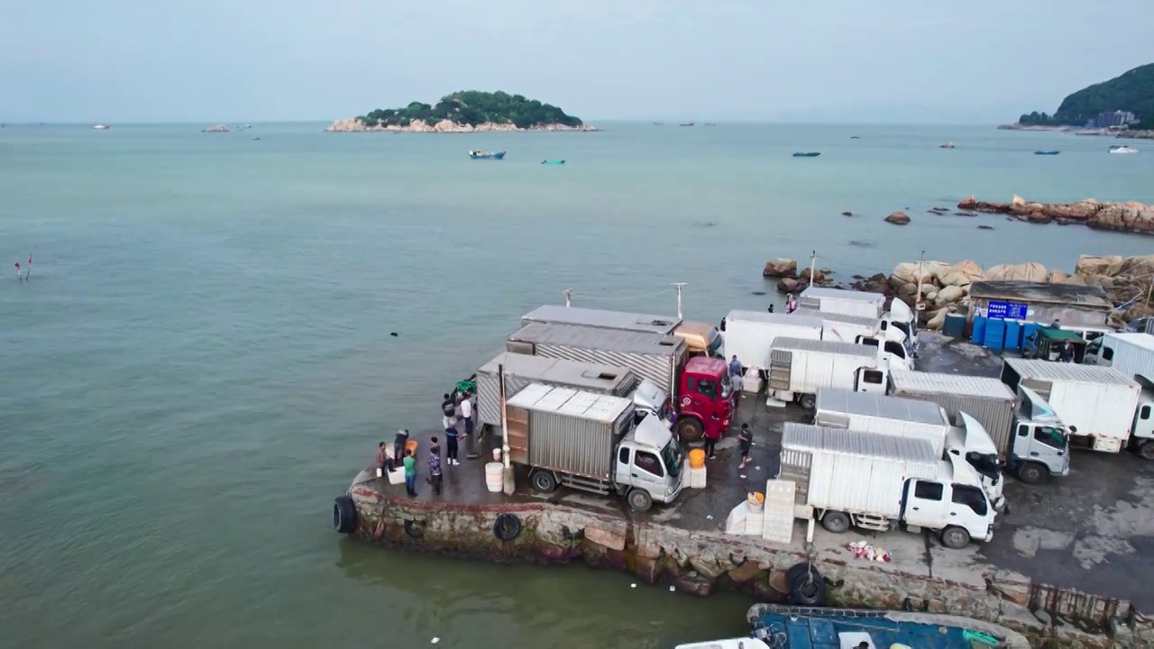 渔港码头卸鱼海鲜渔船停泊鲜活海鲜分拣视频素材