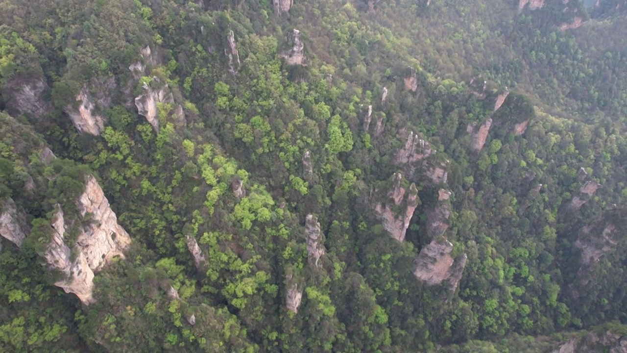 张家界国家森林公园天子山景区航拍视频素材