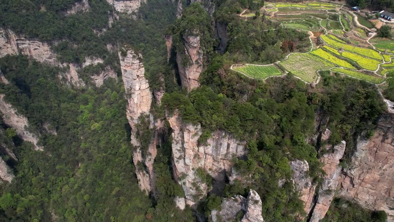 张家界国家森林公园天子山景区航拍视频素材