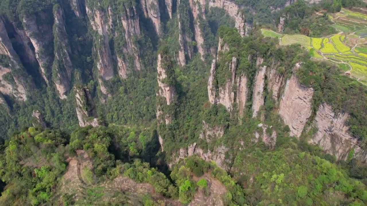 张家界国家森林公园天子山景区航拍视频素材