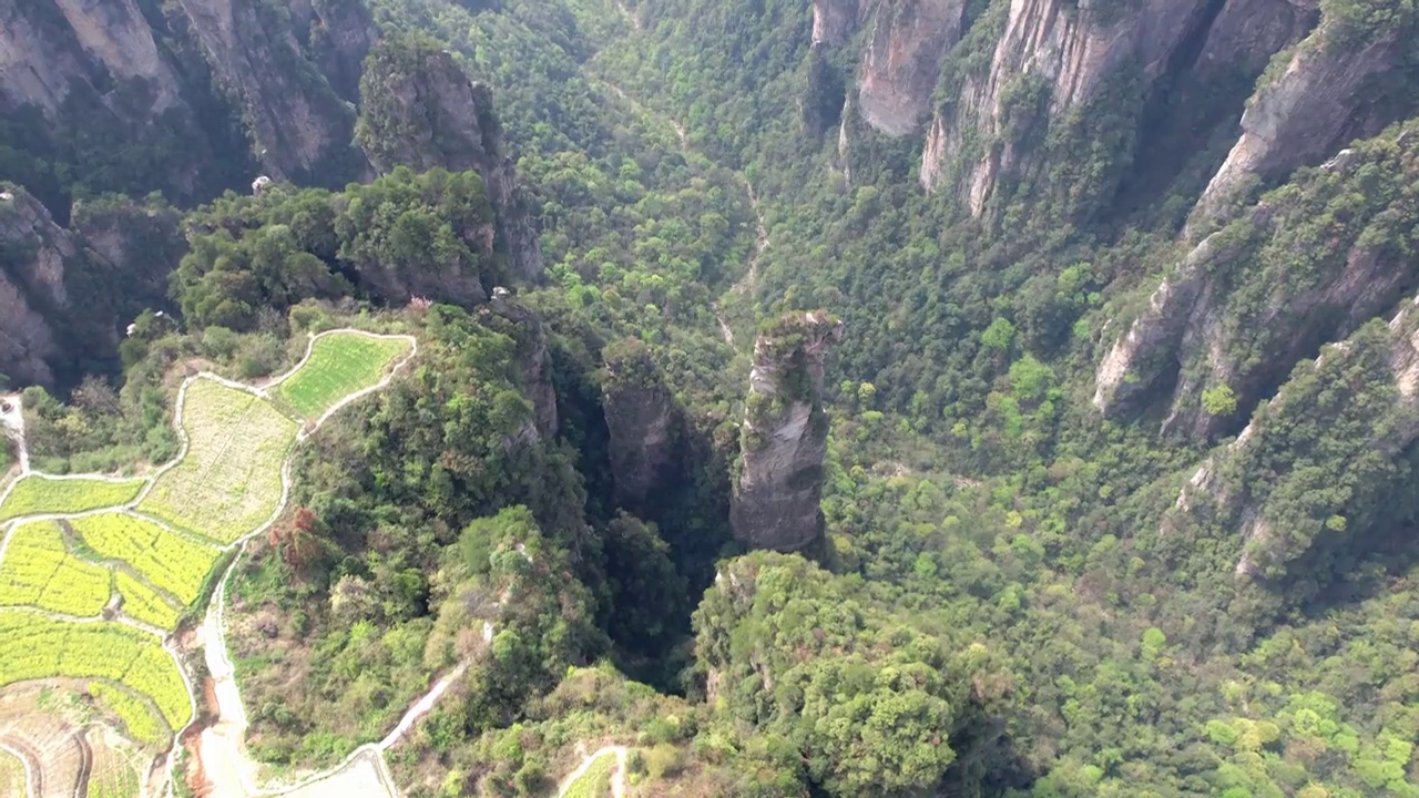 张家界国家森林公园天子山景区航拍视频素材