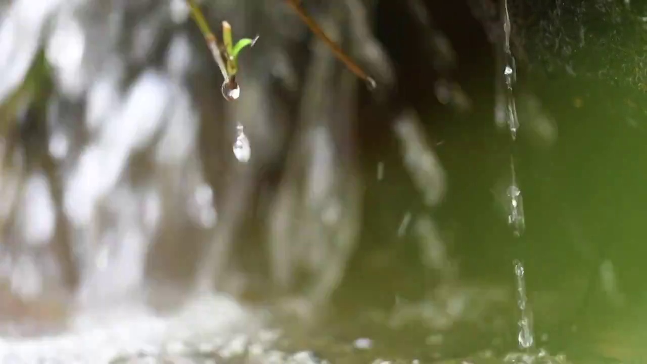 山泉水水滴水珠水泡潮湿视频素材