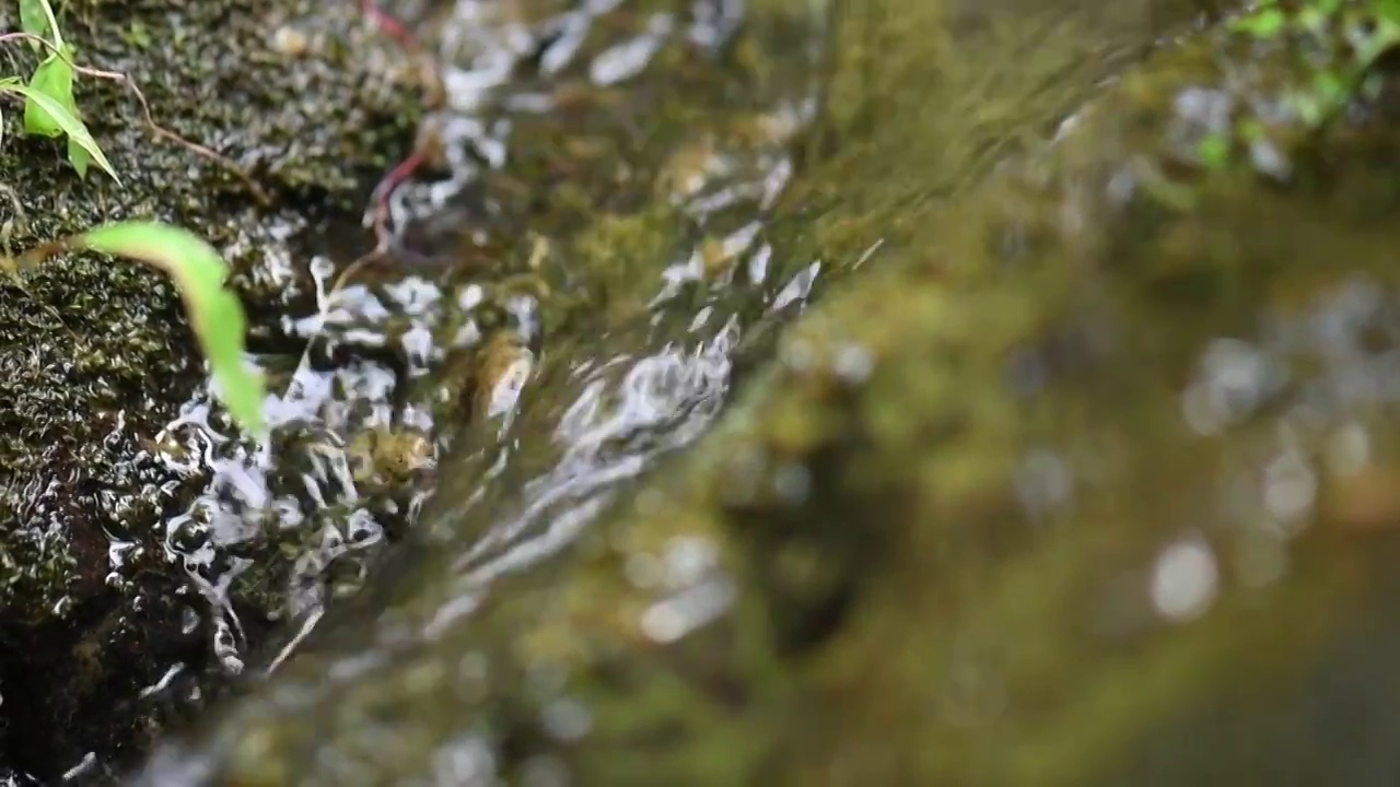 山泉水水滴水珠水泡潮湿视频素材