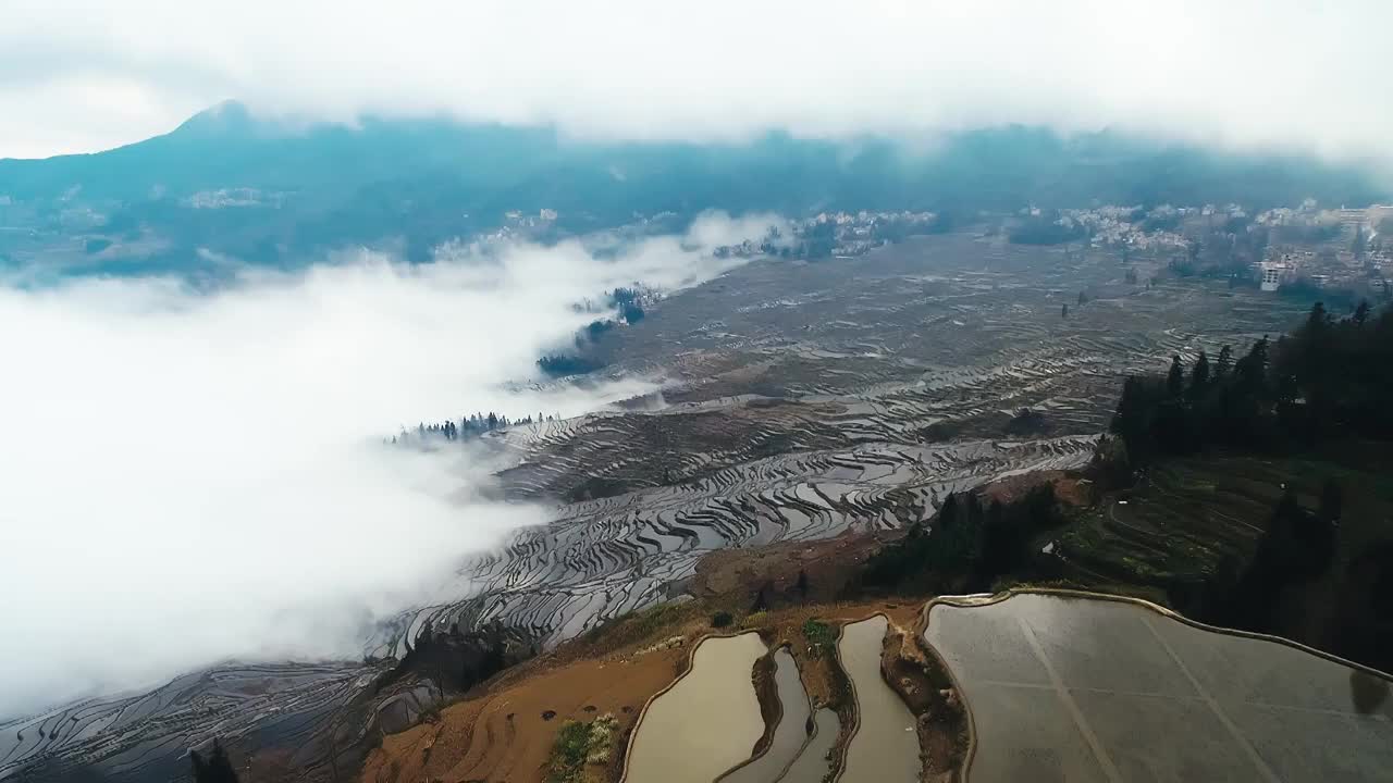 航拍云南省红河州元阳哈尼梯田视频素材