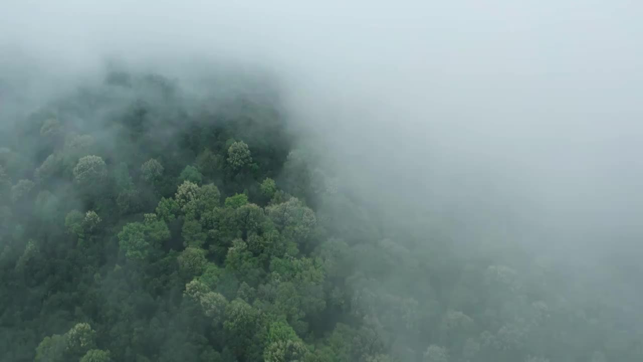 重庆高新区金凤九凤山景区视频素材