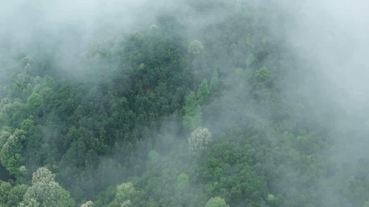 重庆高新区金凤九凤山景区视频素材