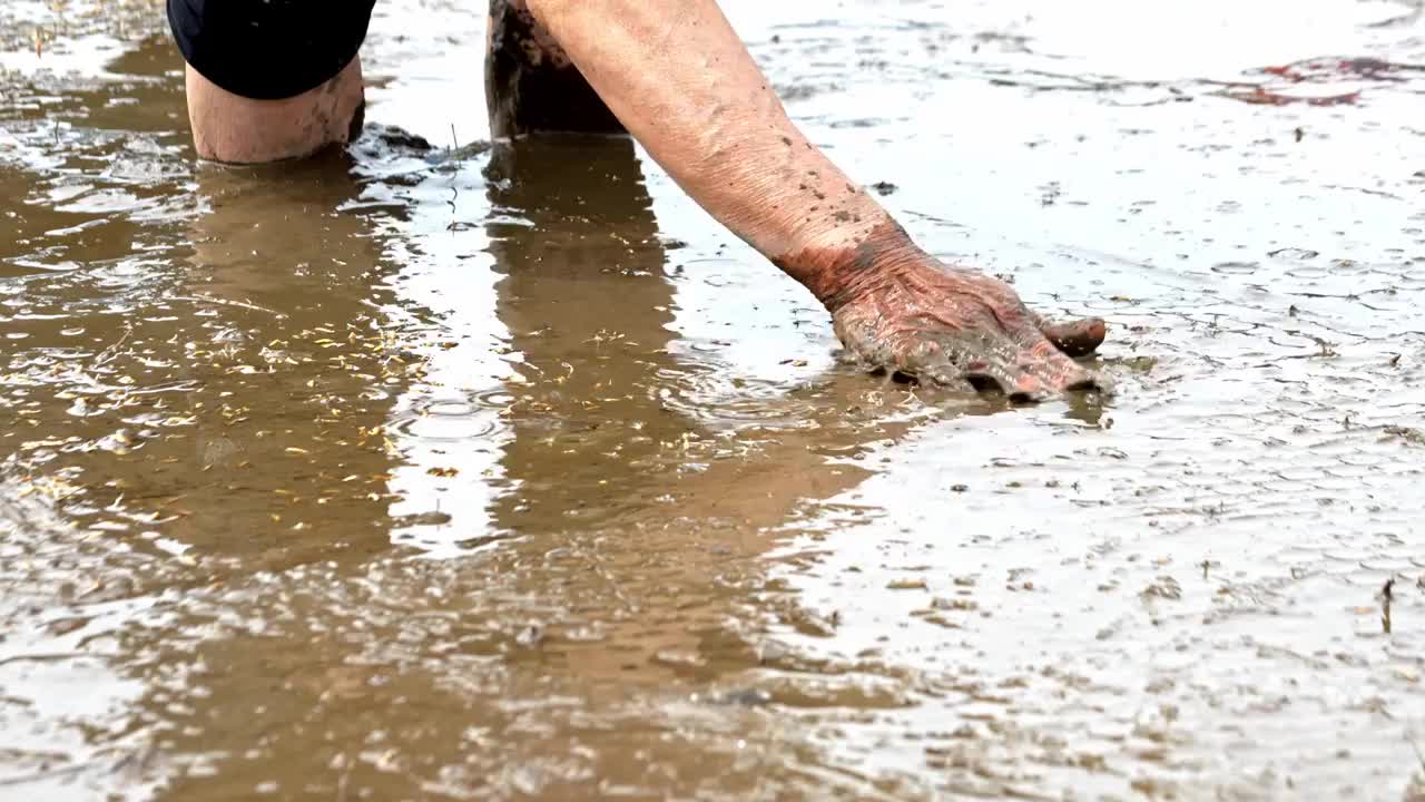 农民撒播水稻种子春天立春雨水芒种小满稻谷视频素材