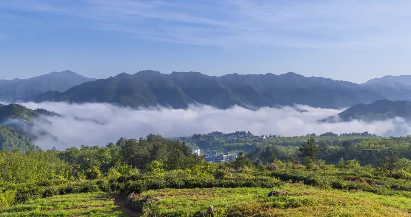 家朋晨雾视频素材