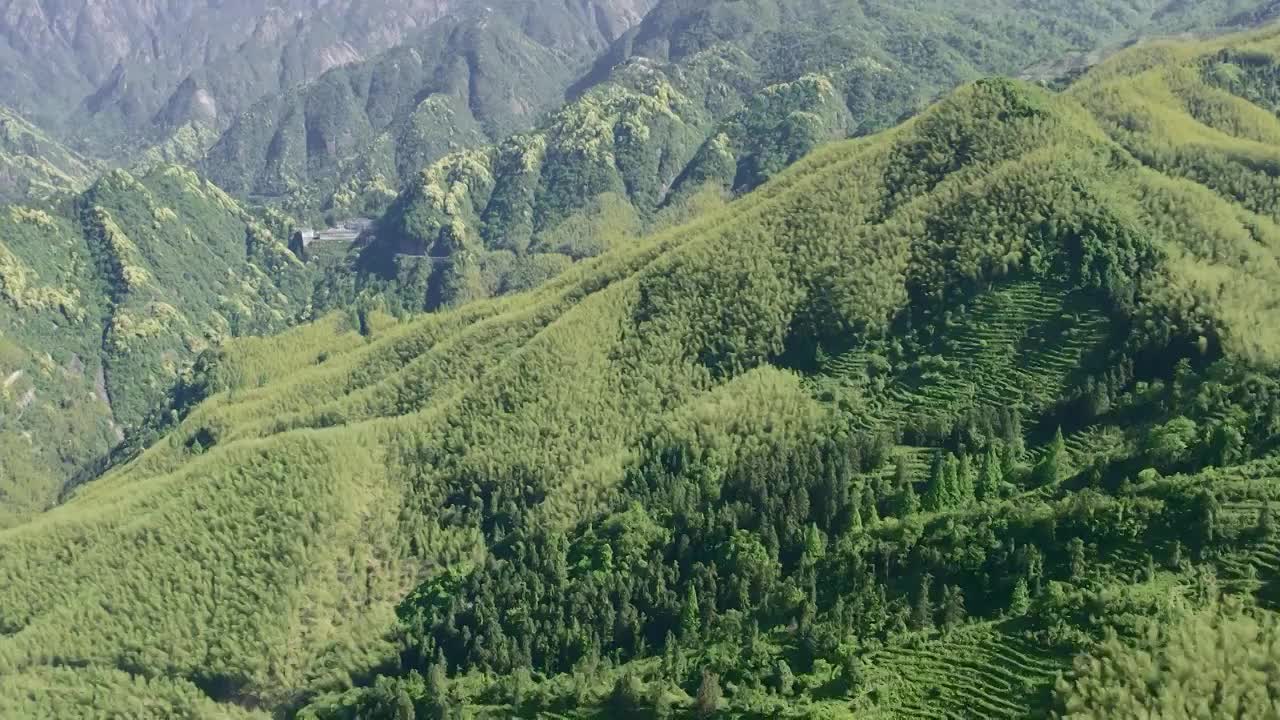 大山森林航拍自然风景视频素材