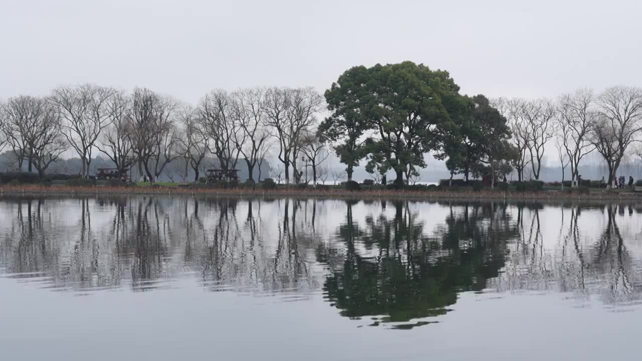 苏堤视频下载