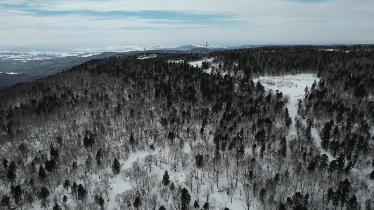 吉林长白山雪岭森林冬季自然风光航拍视频素材